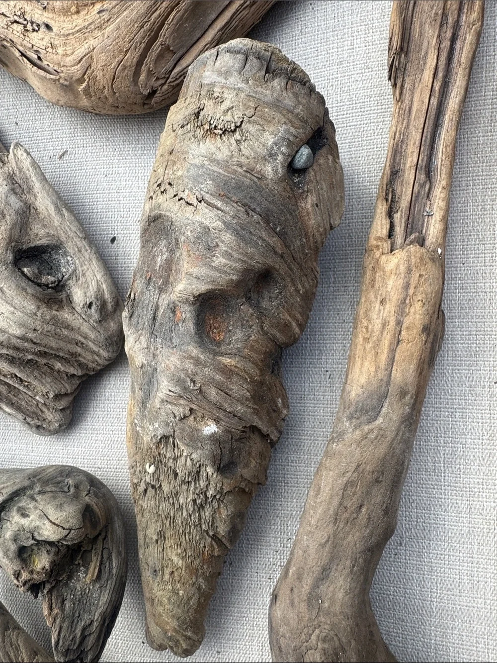 11 pc (5lbs shipped) Natural Driftwood Decorative Accent Pieces-craft & display